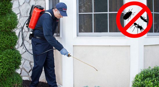 Hopa Karınca İlaçlama böcek ilaçlama ve haşere kontrolü — ilaclama-tr.com
